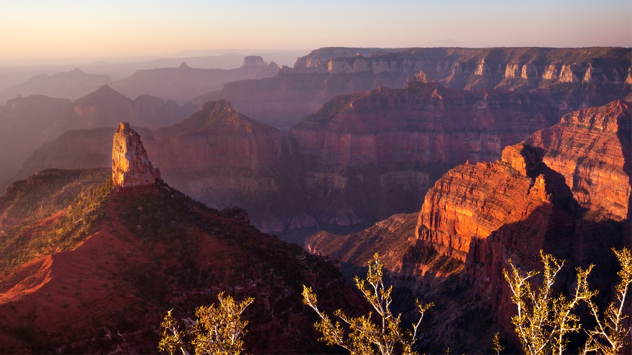 Crédit: sumikophoto, Shutterstock Crédit: sumikophoto, Shutterstock